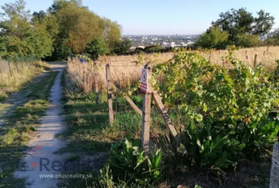 EXKLUZÍVNA PONUKA!   Zaujímavý pozemok v mestskej časti Bratislava Rača na predaj!