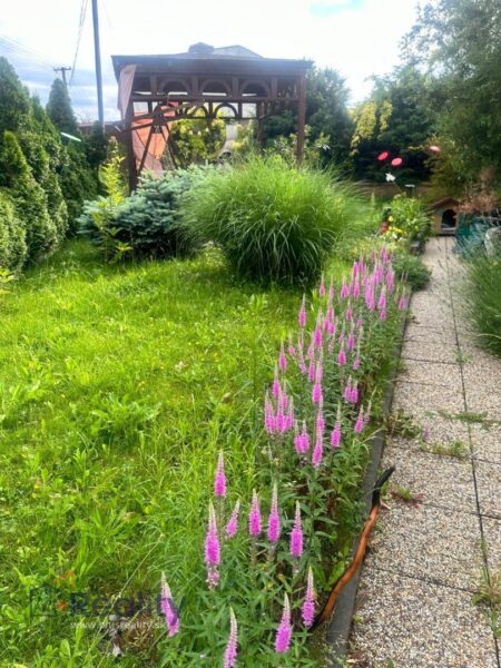 PLUS REALITY I  Krásna relaxačná záhrada so  záhradným domčekom v záhradkárskej osade Mokráň Záhon v lokalite Bratislava Zlaté piesky na predaj!